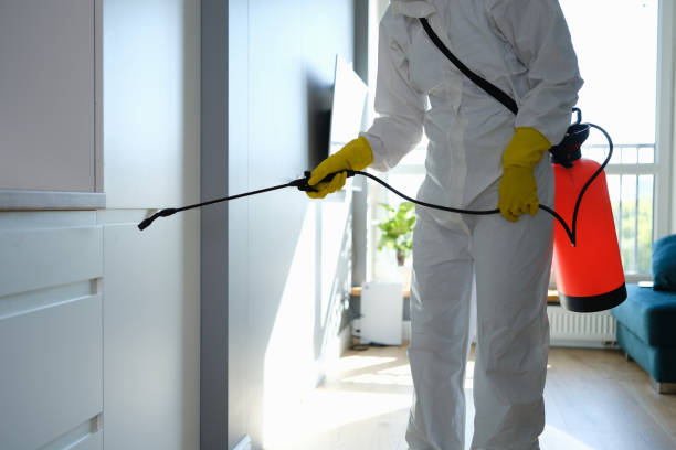 Best Water Damage Restoration  in Baxter Springs, KS