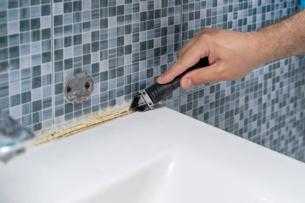 Best Fast Mold Removal  in Baxter Springs, KS