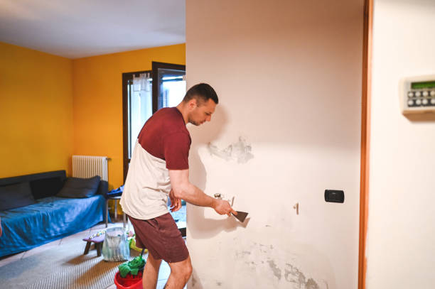 Attic Mold Removal in Baxter Springs, KS