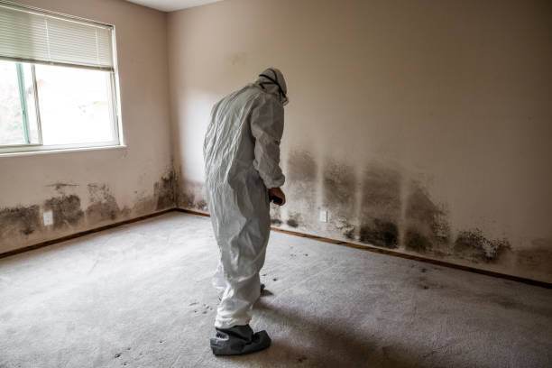 Best Professional Mold Removal  in Baxter Springs, KS