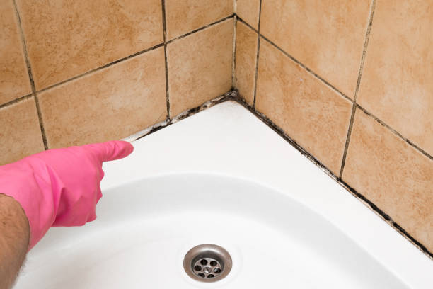 Best Mold Testing  in Baxter Springs, KS
